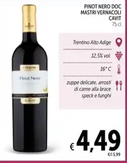 Spazio Conad Pinot nero doc mastri vernacoli CAVIT offerta