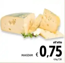 Spazio Conad Maasdam offerta