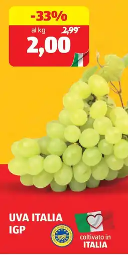 ALDI Uva italia igp offerta