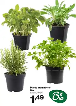 In'S Mercato Piante aromatiche Bio offerta