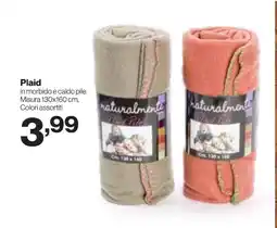 In'S Mercato Plaid offerta