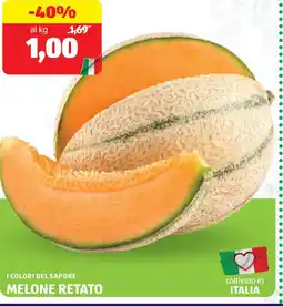 ALDI I colori del sapore melone retato offerta