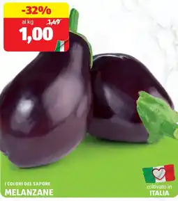 ALDI I colori del sapore melanzane offerta