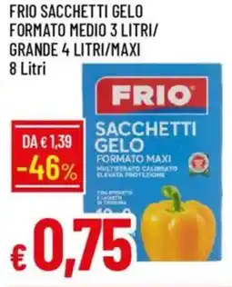 IperFamila Frio sacchetti gelo formato medio 3 litri/ grande 4 litri/maxi offerta
