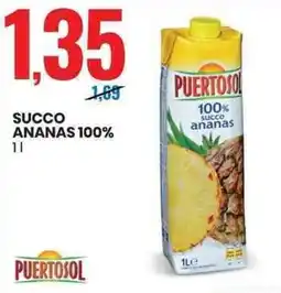 Eurospin Puertosol succo ananas 100% offerta