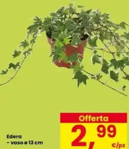 Interspar Edera offerta