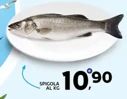 Extra Supermercati Spigola offerta