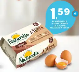 Extra Supermercati Le naturelle 6 uova grandi da galline allevate a terra offerta