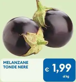 MD Discount Melanzane tonde nere offerta
