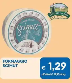 MD Discount Formaggio SCIMUT offerta