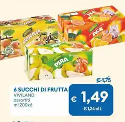 MD Discount 6 succhi di frutta VIVILAND offerta
