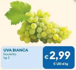 MD Discount UVA bianca offerta