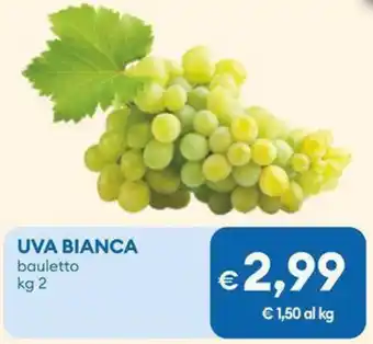 MD Discount UVA bianca offerta
