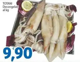 Sidis Totani decongelati al kg offerta