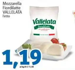 Sidis Mozzarella Fiordilatte VALLELATA offerta