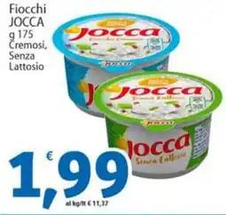 Sidis Fiocchi JOCCA offerta