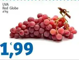 Sidis UVA Red Globe offerta