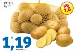 Sidis Patate offerta