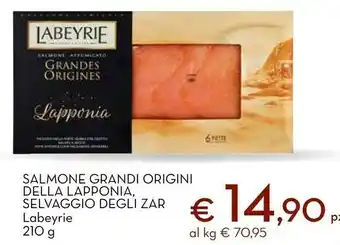 Conad Salmone grandi origini della lapponia selvaggio degli zar 210 g offerta