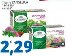 Sidis Tisane L'ANGELICA 15/18 filtri vari tipi offerta