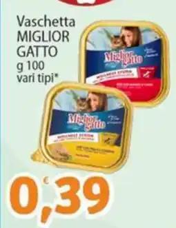 Sidis Vaschetta MIGLIOR GATTO offerta