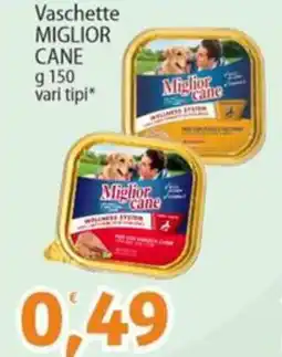 Sidis Vaschette MIGLIOR CANE vari tipi offerta