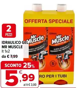 Iperal Idraulico gel MR MUSCLE offerta