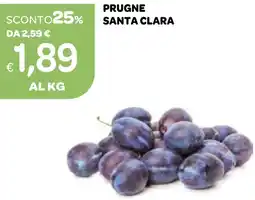 Ekom Prugne santa clara offerta
