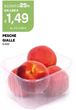 Ekom Pesche gialle offerta