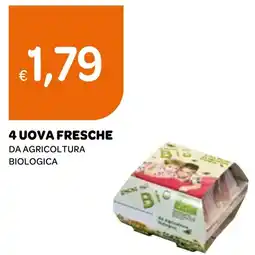 Ekom 4 uova fresche offerta