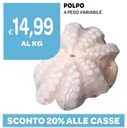 Ekom Polpo offerta