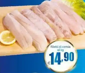 Elite Filetti di cernia offerta