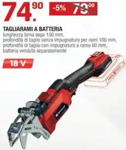 Brico OK Tagliarami a batteria offerta