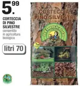Brico OK Corteccia di pino silvestre offerta