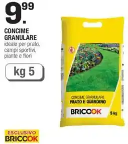 Brico OK Concime granulare offerta