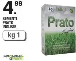 Brico OK Sementi prato inglese offerta