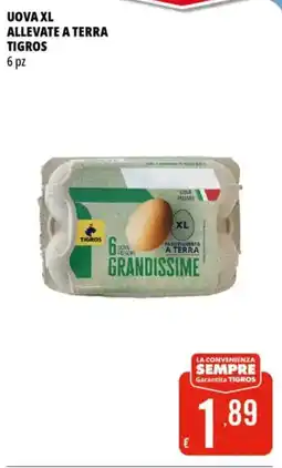 Tigros Uova xl allevate a terra TIGROS offerta