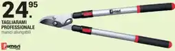Brico OK Tagliarami professionale offerta