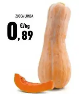 Conad Superstore Zucca lunga offerta