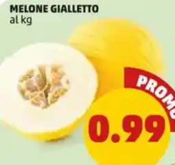 PENNY Melone gialletto offerta