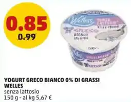PENNY Yogurt greco bianco 0% di grassi WELLES offerta