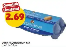 PENNY Uova aequilibrium AIA offerta