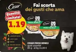 PENNY Cesar fresh bowls gusti assortiti offerta