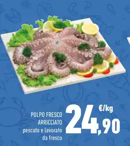 Conad Polpo fresco arricciato offerta