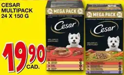Mondo Brico Cesar multipack offerta