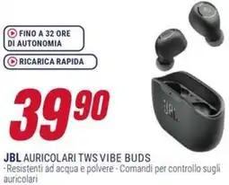 Trony JBL AURICOLARI TWS VIBE BUDS offerta