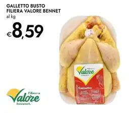 Bennet Galletto busto filiera VALORE BENNET offerta