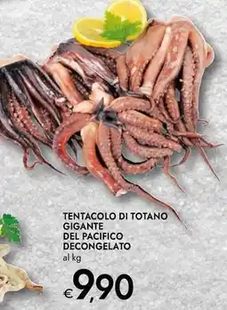 Bennet Tentacolo di totano gigante del pacifico decongelato offerta