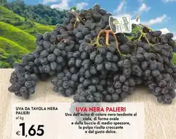 Bennet Uva nera palieri offerta