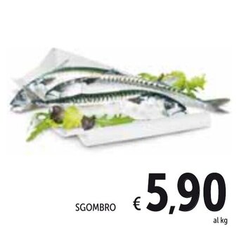 Spazio Conad Sgombro offerta